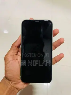 Apple iPhone 11 256GB (Used)