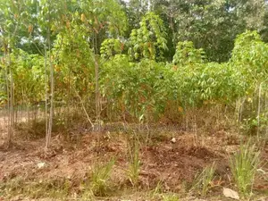 Land for Sale in Bibile