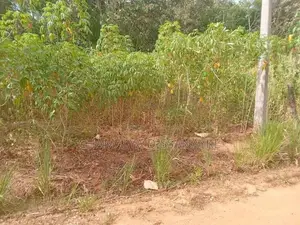 Land for Sale in Bibile