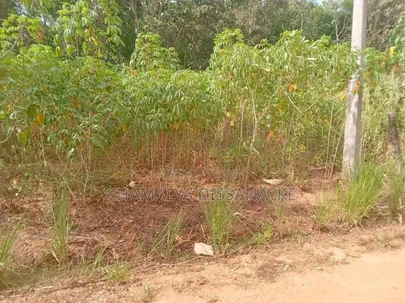 Land for Sale in Bibile