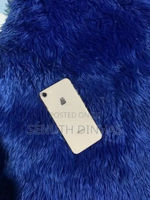 Apple iPhone 8 (Used)
