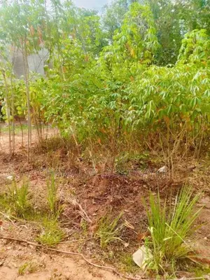 Land for Sale in Bibile
