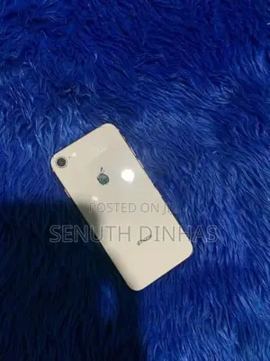 Apple iPhone 8 (Used)