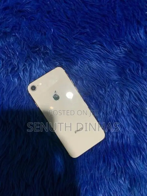 Apple iPhone 8 (Used)