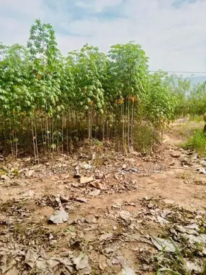 Land for Sale in Bibile