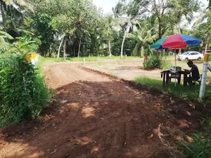 අනුරාධපුරයෙන් සින්නක්කර ඉඩමක්