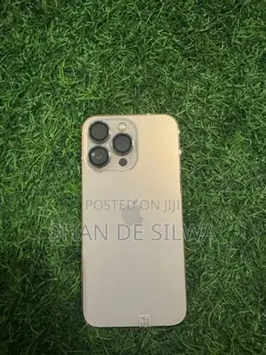Apple iPhone 13 Pro (Used)