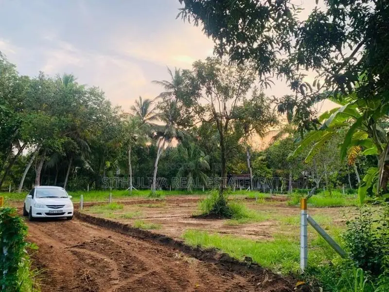අනුරාධපුරයෙන් සින්නක්කර බිම් කොටස් කිහිපයක්