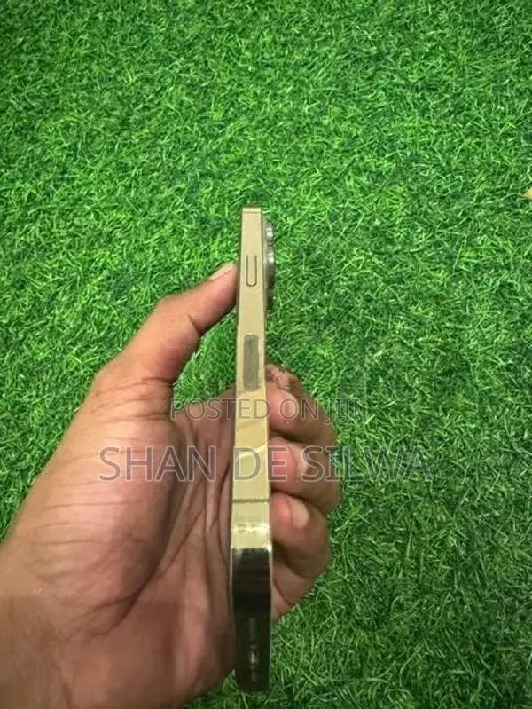 Apple iPhone 13 Pro (Used)