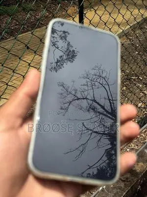 Apple iPhone 13 Pro Max (Used)
