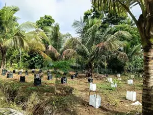 කුරුණෑගල ඉඩම විකිණිමට