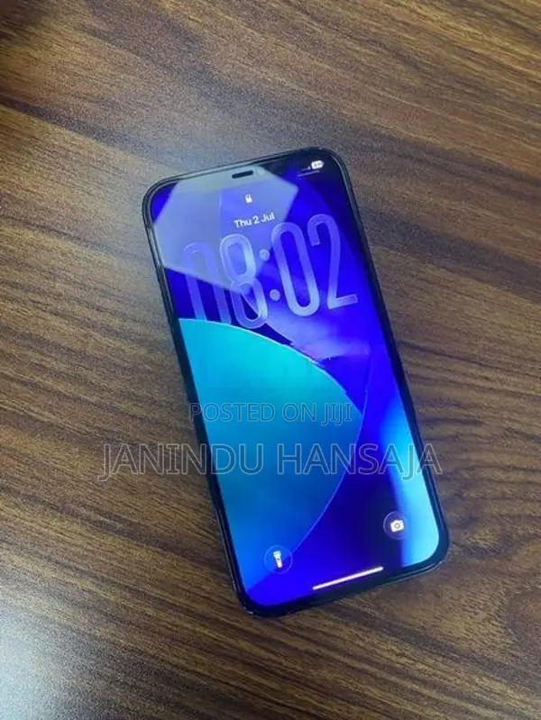 Apple iPhone 12 Pro Max (Used)