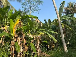 Land in Monaragala Hidakiwila Plot 01