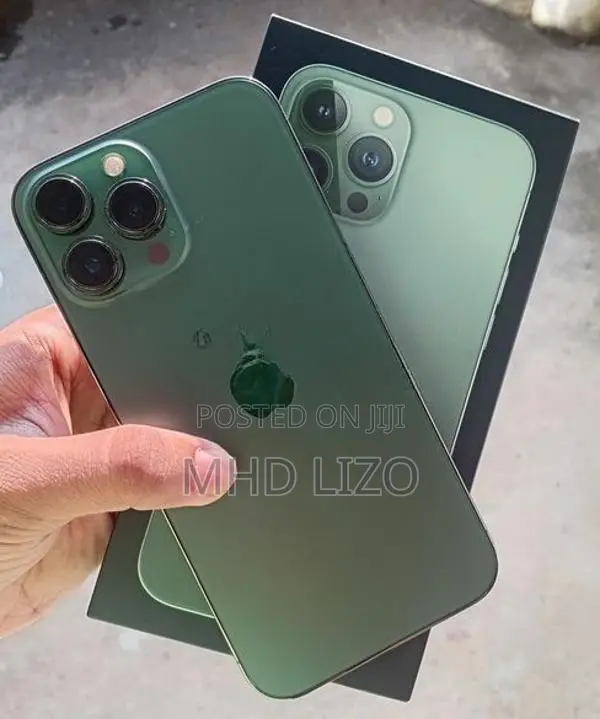 Apple iPhone 13 Pro Max (Used)