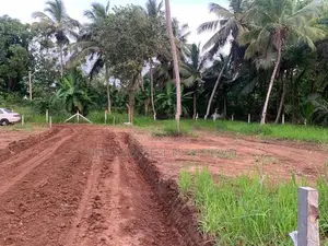 අනුරාධපුරයෙන් පූජා නගරයට ආසන්නයෙන් සින්නක්කර ඉඩමක්