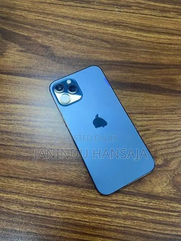 Apple iPhone 12 Pro Max (Used)