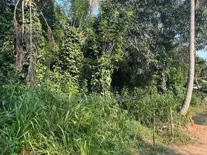 Land in Monaragala Hidakiwila Plot 01