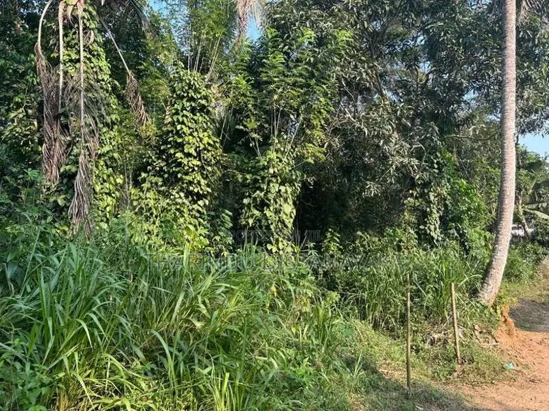 Land in Monaragala Hidakiwila Plot 01