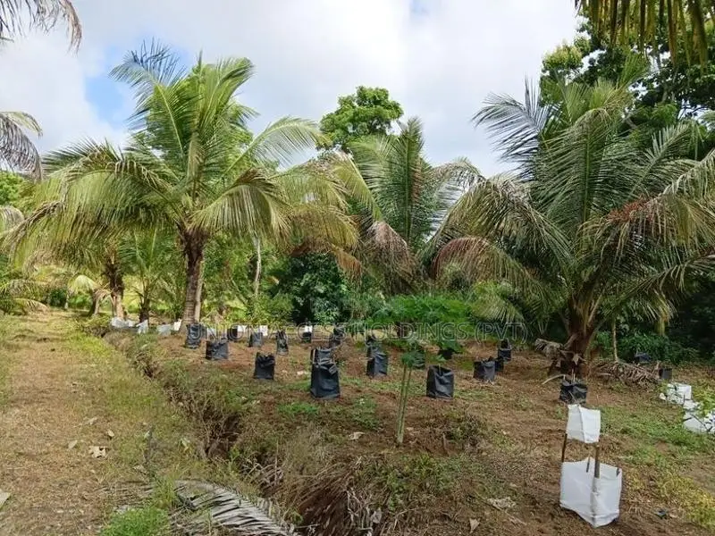 කුරුණෑගල ඉඩම විකිණිමට