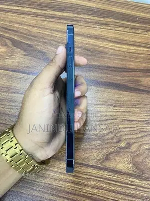 Apple iPhone 12 Pro Max (Used)
