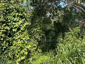 Land in Monaragala Hidakiwila Plot 01