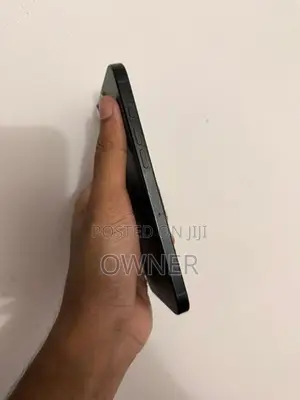 Apple iPhone 16 Pro Max 1TB (Used)
