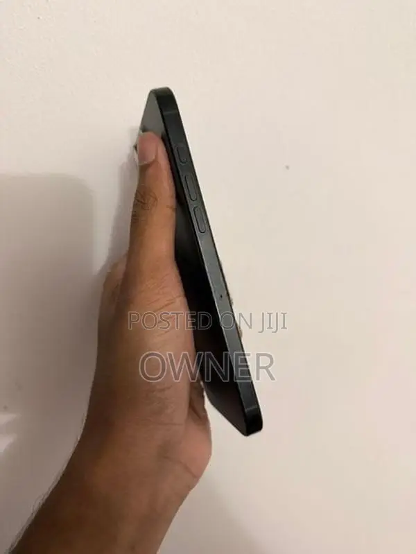 Apple iPhone 16 Pro Max 1TB (Used)