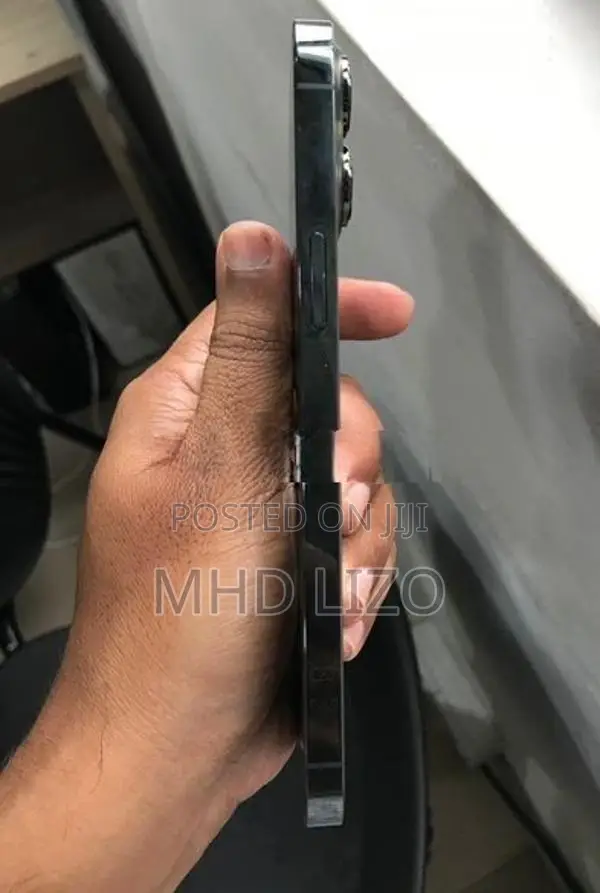 Apple iPhone 13 Pro Max (Used)