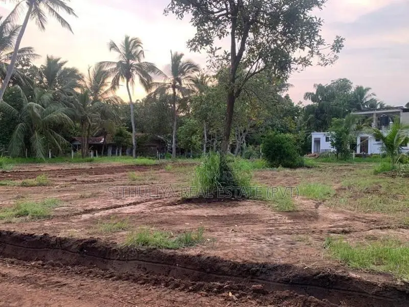 අනුරාධපුරයෙන් පූජා නගරයට ආසන්නයෙන් සින්නක්කර ඉඩමක්