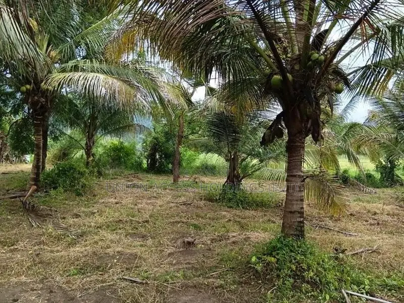 කුරුණෑගල ඉඩම විකිණිමට