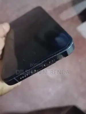 Apple iPhone 13 Pro Max (Used)