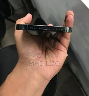 Apple iPhone 13 Pro Max (Used)