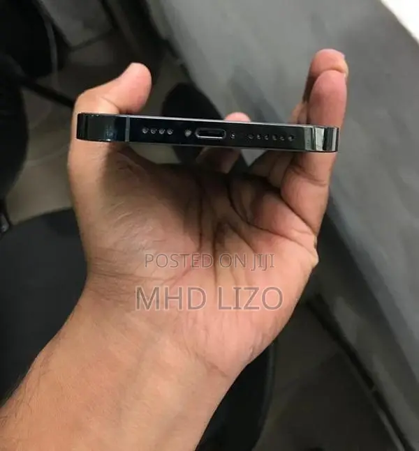 Apple iPhone 13 Pro Max (Used)