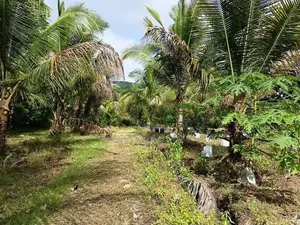 කුරුණෑගල ඉඩම විකිණිමට