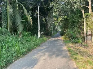 Land in Monaragala Hidakiwila Plot 01
