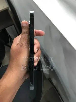 Apple iPhone 13 Pro Max (Used)