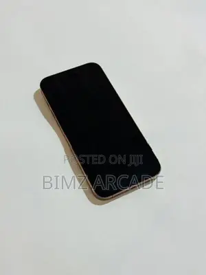 Apple iPhone 16 Pro Max 256GB (Used)