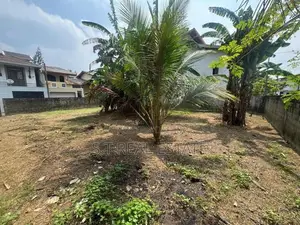 10.90P Prime Bare Land For Sale In Bokundara