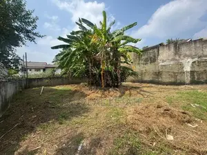 10.90P Bare Land For Sale In Bokundara