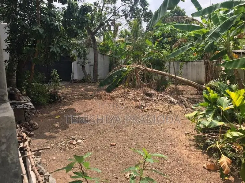 Land for Sale in Pelawattha