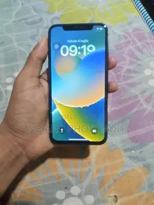 Apple iPhone X (Used)