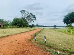 අනුරාධපුර පුත්තලම් පාරට මීටර් 50 යි සින්නක්කර ඉඩමක්