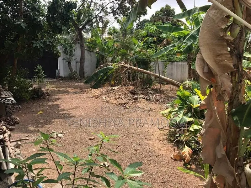 Land for Sale in Pelawattha