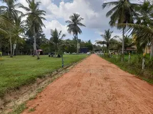 නිකවැරටිය විතිකුලිය කොබේගනේ පාර ළඟින් ඉඩමක්