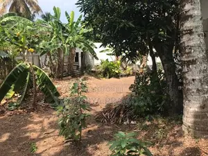 Land for Sale in Pelawattha