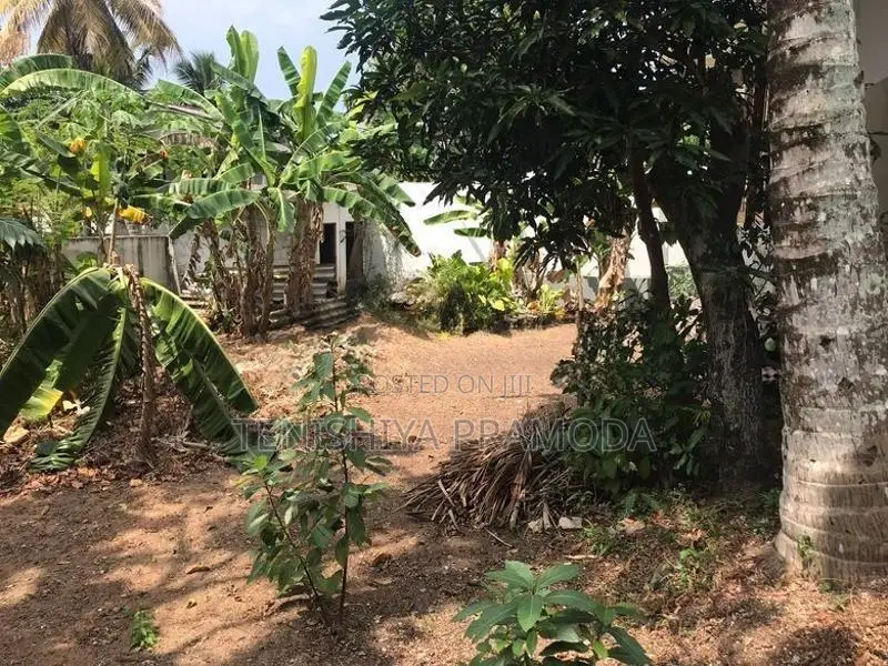 Land for Sale in Pelawattha