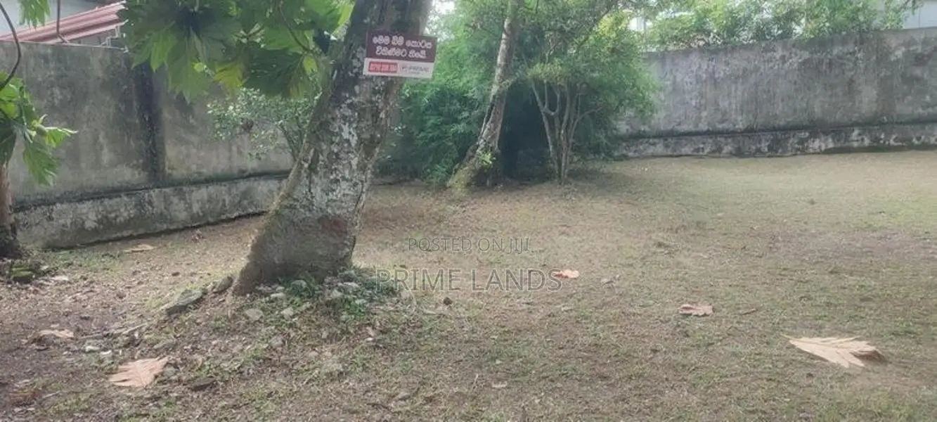 Thalahena Best Residential Land for Sale in Udyana Mawatha