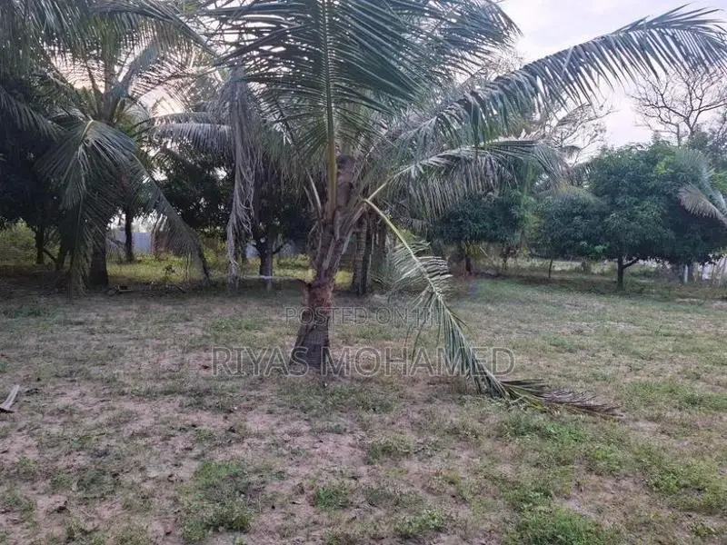 Land for Sale - Ampara Addalaichenai