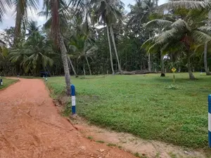 නිකවැරටිය විතිකුලිය කොබේගනේ පාර ළඟින් ඉඩමක්