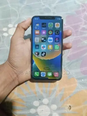 Apple iPhone X (Used)